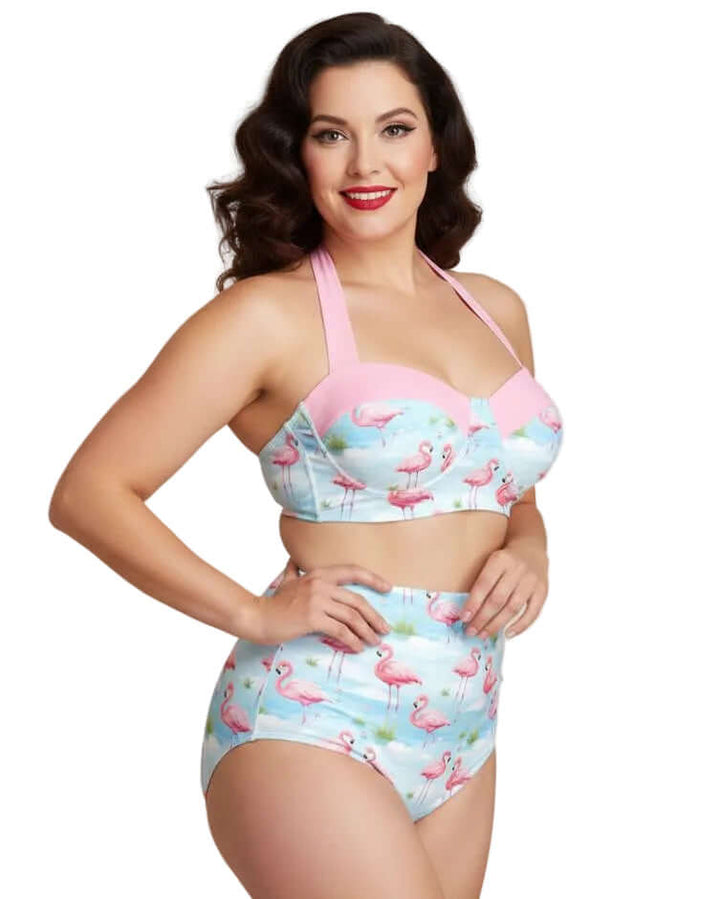Model showcasing a Pink Flamingos High Waist Bikini featuring a retro flamingo print and flattering high-rise cut.